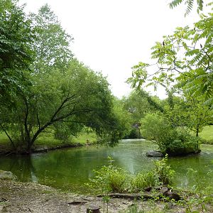 Australia - Walk-Through Red Kangaroo Enclosure