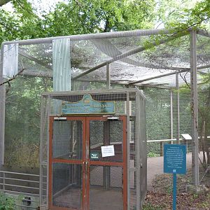 Australia - Walk-Through Tree Kangaroo Enclosure