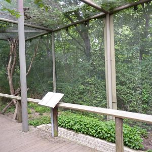 Australia - Walk-Through Tree Kangaroo Enclosure