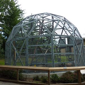 Tiger Trail - Orangutan Enclosure