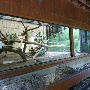 Tiger Trail - Red Panda Enclosure