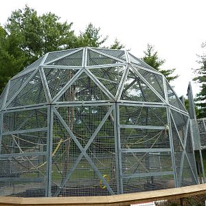 Tiger Trail - Orangutan Enclosure