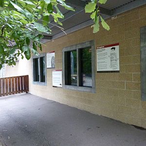 Tiger Trail - Orangutan Enclosure - Viewing Windows