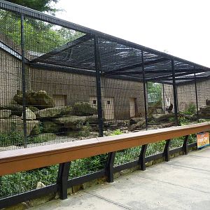 Tiger Trail - Sumatran Tiger Enclosure