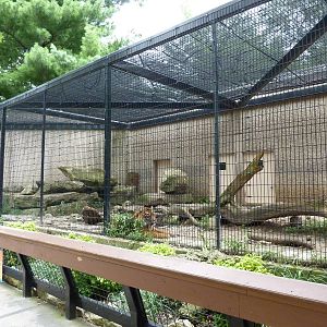 Tiger Trail - Sumatran Tiger Enclosure