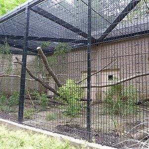 Tiger Trail - Wreathed Hornbill Enclosure
