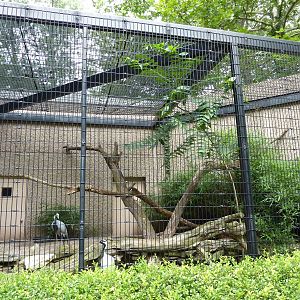 Tiger Trail - Demoiselle Crane Enclosure