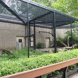 Tiger Trail - Binturong + Demoiselle Crane Enclosures