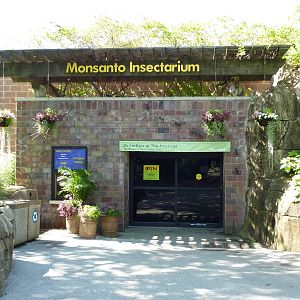 Insectarium