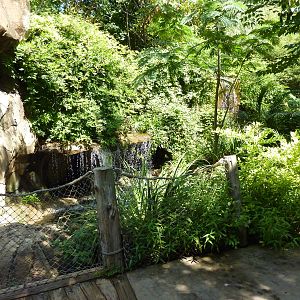 River's Edge - Visitor Pathway