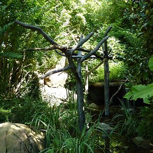 River's Edge - Macaw Perch