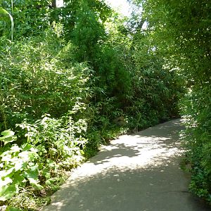 River's Edge - Visitor Pathway