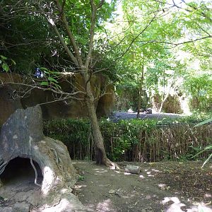 River's Edge - Bush Dog Exhibit