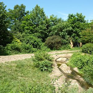 River's Edge - Black Rhino/Sacred Ibis Exhibit