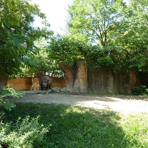 River's Edge - Black Rhino/Sacred Ibis Exhibit