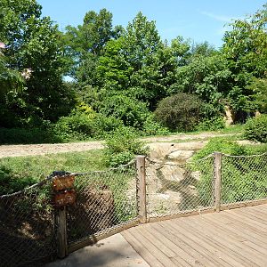 River's Edge - Black Rhino/Sacred Ibis Exhibit