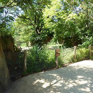 River's Edge - Black Rhino/Sacred Ibis Exhibit - Viewing Area