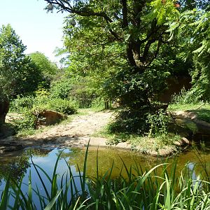 River's Edge - Black Rhino/Sacred Ibis Exhibit