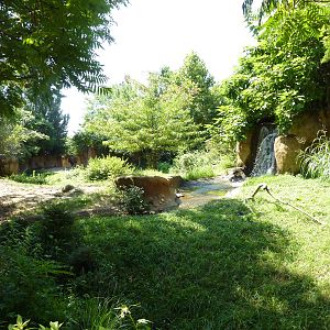 River's Edge - Black Rhino/Sacred Ibis Exhibit