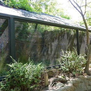 River's Edge - Carmine Bee-Eater Aviary