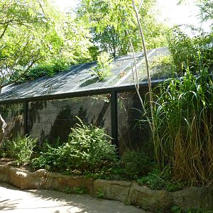 River's Edge - Carmine Bee-Eater Exhibit
