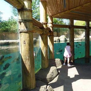 River's Edge - Hippo Harbor