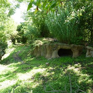 River's Edge - Spotted Hyena Exhibit