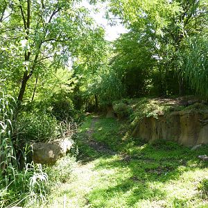 River's Edge - Spotted Hyena Exhibit