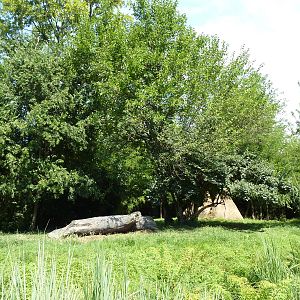 River's Edge - Cheetah Exhibit