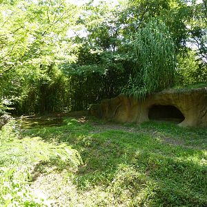 River's Edge - Spotted Hyena Exhibit