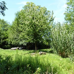 River's Edge - Cheetah Exhibit