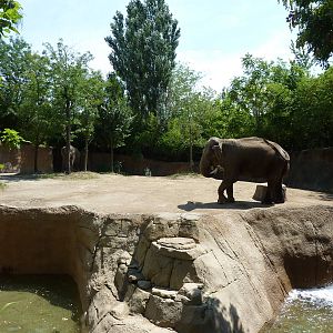 River's Edge - Asian Elephant Exhibit