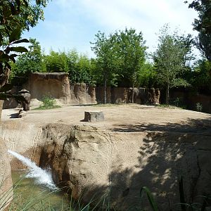 River's Edge - Asian Elephant Exhibit