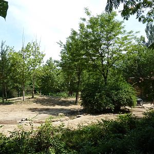 River's Edge - Asian Elephant Exhibit