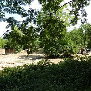 River's Edge - Asian Elephant Exhibit