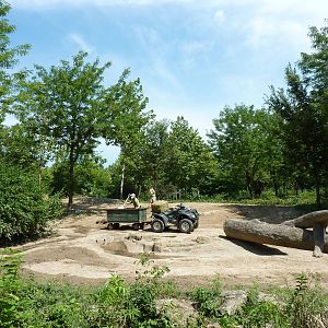 River's Edge - Asian Elephant Exhibit