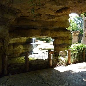 River's Edge - Asian Elephant Exhibit - Viewing Area