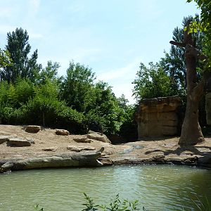 River's Edge - Asian Elephant Exhibit