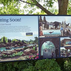 Future Exhibit - California Sea Lion Pool