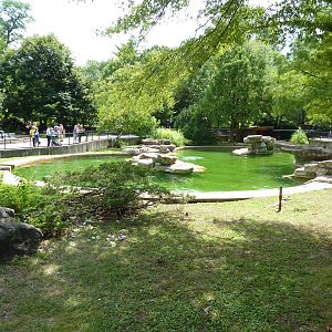 California Sea Lion Pool