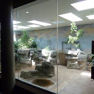 Aldabra Tortoise Exhibit