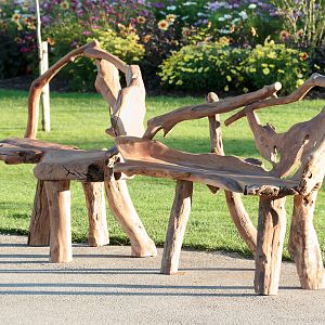 Fountain Lawns Benches - 30/08/2010