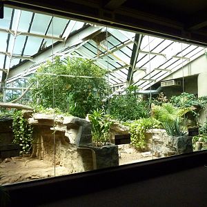 Komodo Dragon/Radiated Tortoise/Dwarf Caiman Exhibits