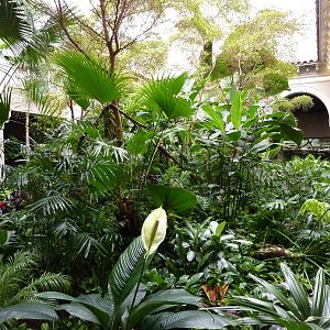 Primate House - Central Garden