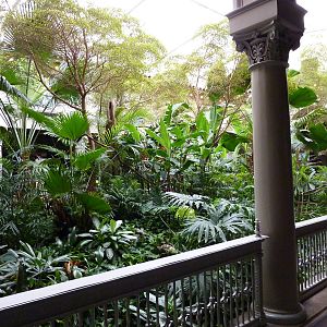 Primate House - Central Garden