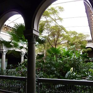 Primate House - Central Garden