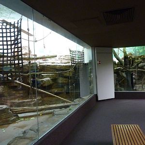 Lion-Tailed Macaque Exhibit