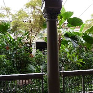 Primate House - Central Garden