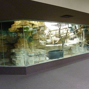 Primate House - Built In 1925 -Lion-Tailed Macaque Exhibit