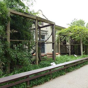 Outdoor Primate Exhibits